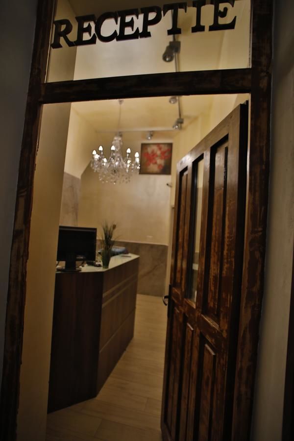 Отель Vila Vidalis Клуж-Напока-7
