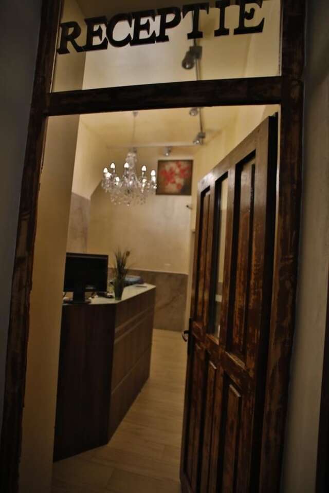 Отель Vila Vidalis Клуж-Напока-6